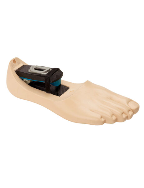 Endolite DR2 Prosthetic Foot