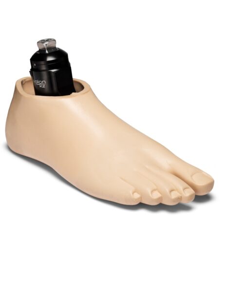Endolite AvalonK2 Prosthetic Foot