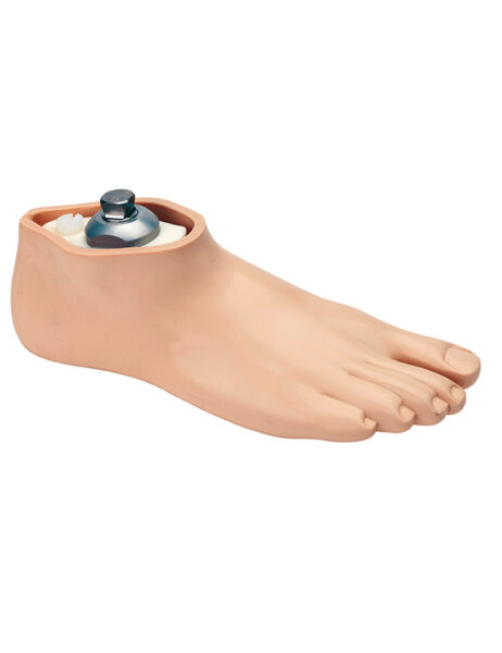 Endolite Senior Prosthetic Foot